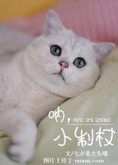 呐,小制杖txt下载