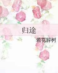 归途txt下载