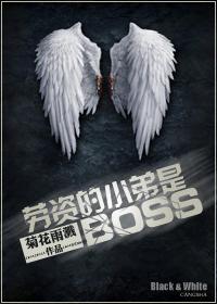 ʵСBOSS