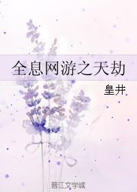 全息网游之天劫txt下载